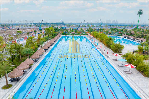 bộ đôi bể bơi phong cách Olympic rộng 3.500m2