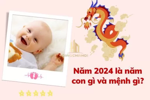 Sinh con năm 2024 là năm con gì