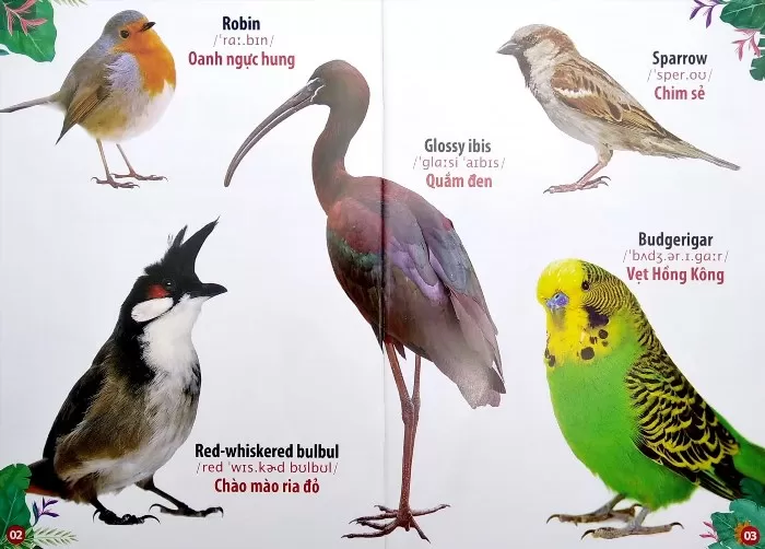 [Download Ebook] Thư Viện Hình Ảnh Song Ngữ Đầu Tiên Của Bé – Loài Chim là một tài liệu giáo dục đặc biệt dành cho trẻ em, cung cấp hình ảnh và thông tin về loài chim, giúp trẻ em hiểu về sự đa dạng và quan trọng của loài chim trong tự nhiên.